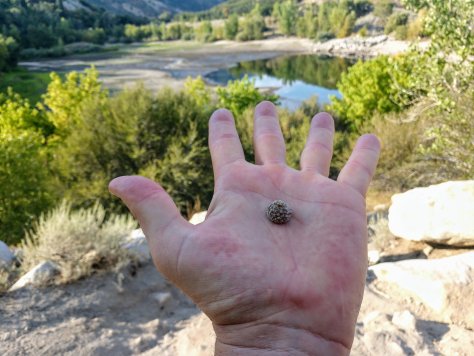 Had the most amazing meditation in the mountains today with my Buddha Band and crystals! By Jason Latas of Buddha Gear