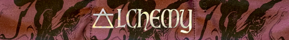 Buddha Gear Meditation Headband Black Air Bender Alchemy Breathwork Headband Florida Hilton Hotema Breatharian