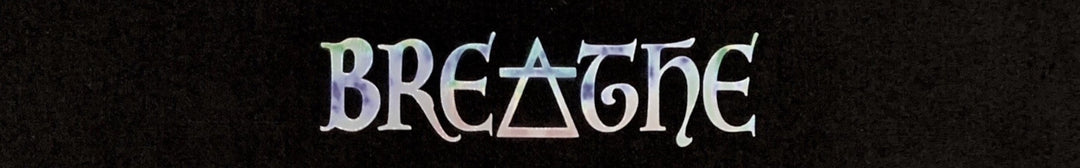 Buddha Gear Meditation Headband Black Air Bender Alchemy Breathwork Breatharian Headband Florida